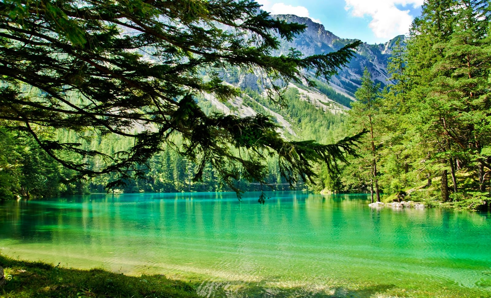 landscape, Nature, Tree, Forest, Woods, Lake Wallpaper