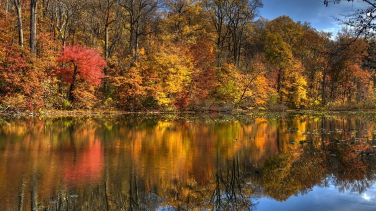 landscape, Nature, Tree, Forest, Woods, Autumn, Lake, Reflection HD Wallpaper Desktop Background