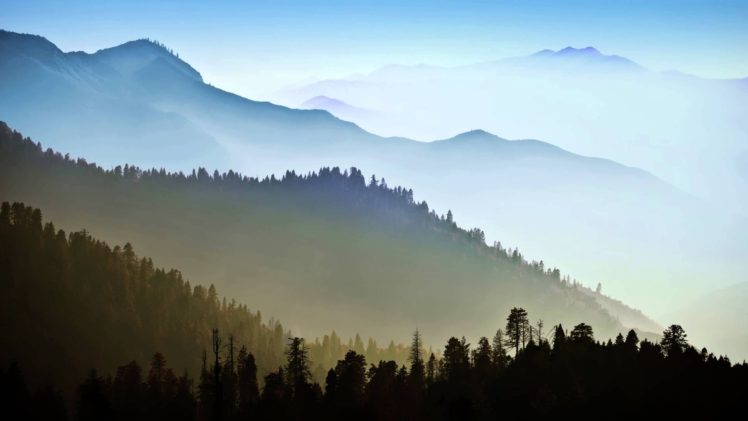 landscape, Nature, Tree, Forest, Woods, Mountains, Haze, Fog HD Wallpaper Desktop Background