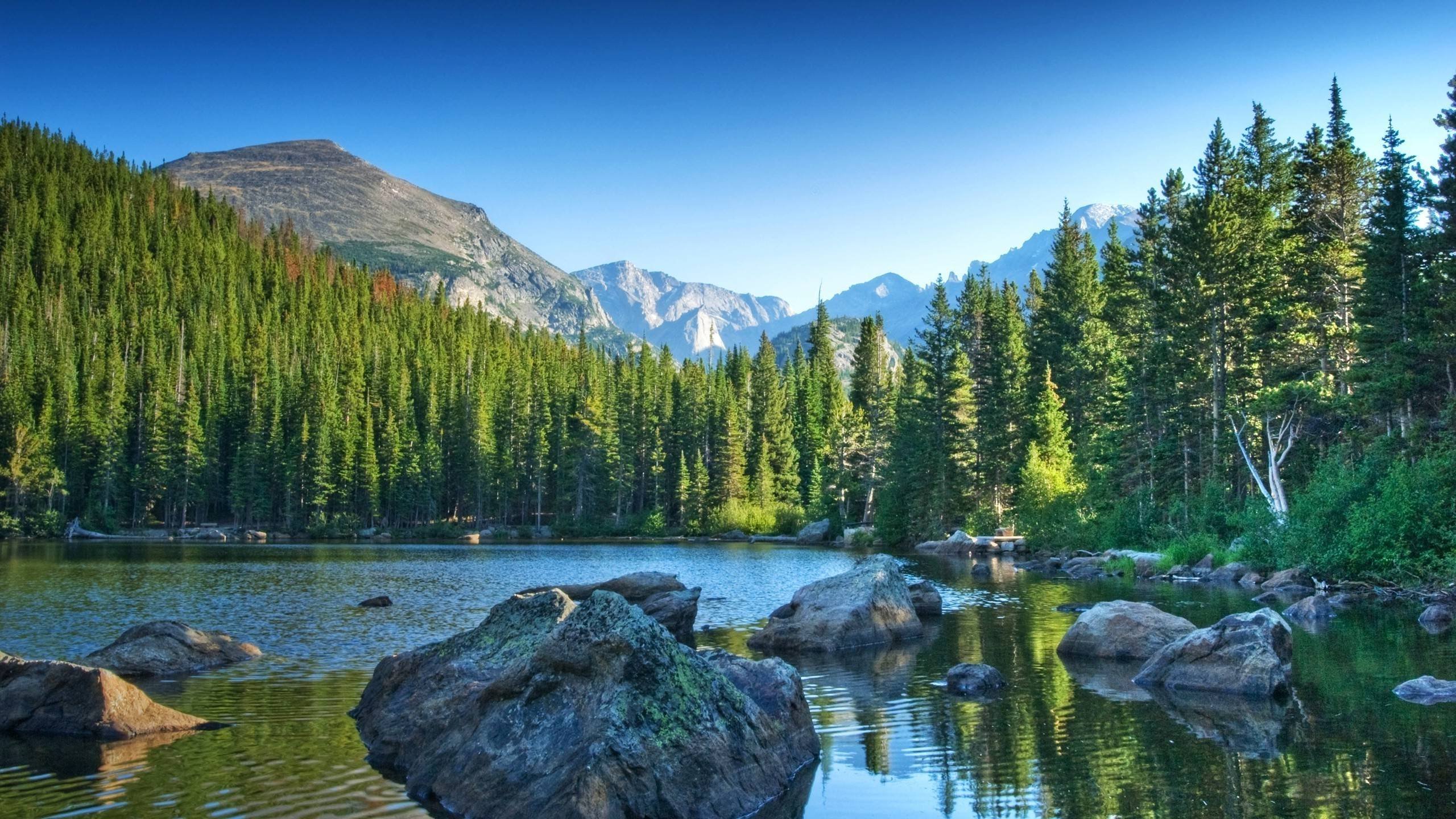 Mountains Landscape Nature Mountain Lake Forest Wallpapers Hd