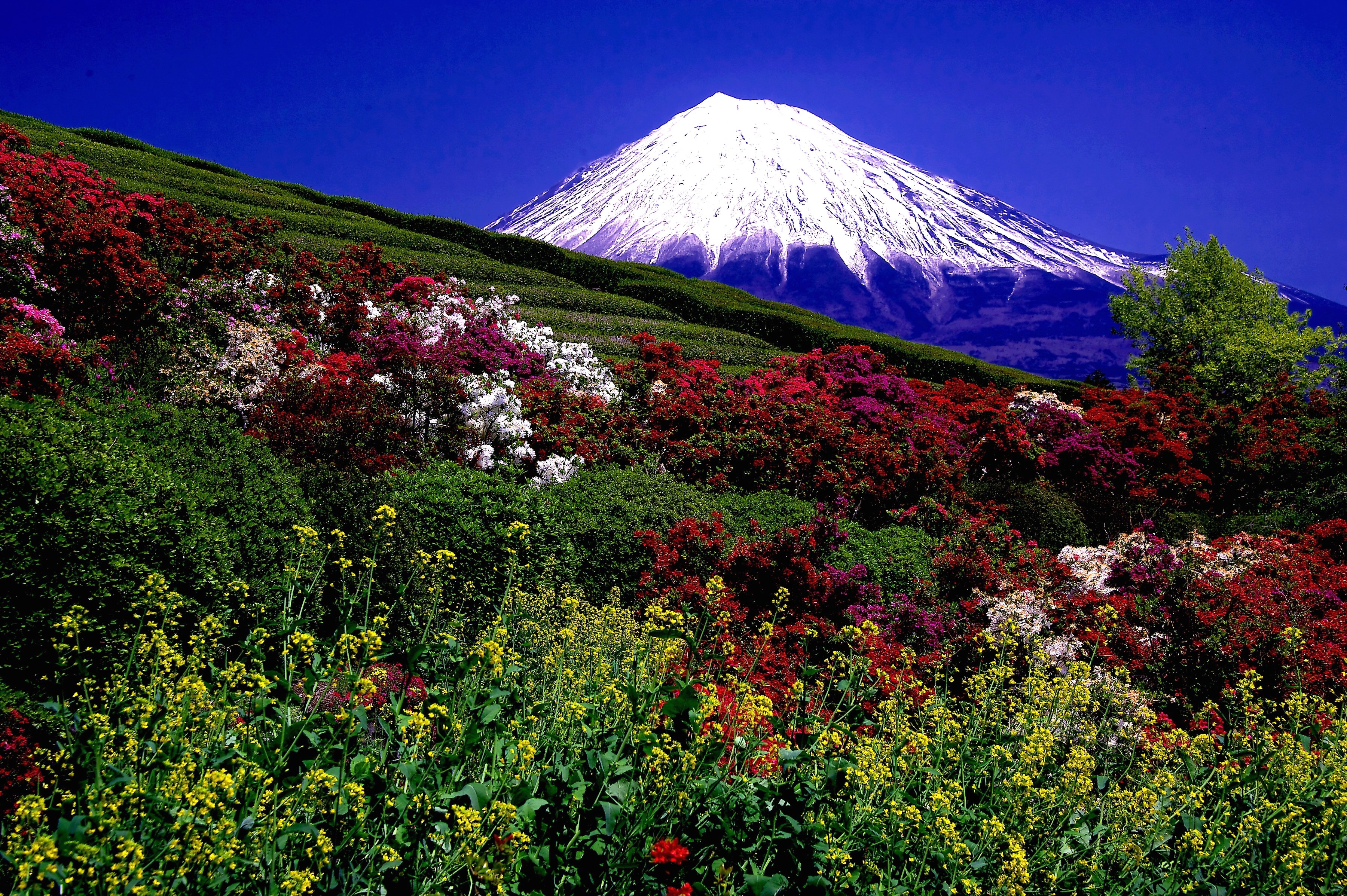 mountains, Landscape, Nature, Mountain, Volcano, Snow Wallpaper