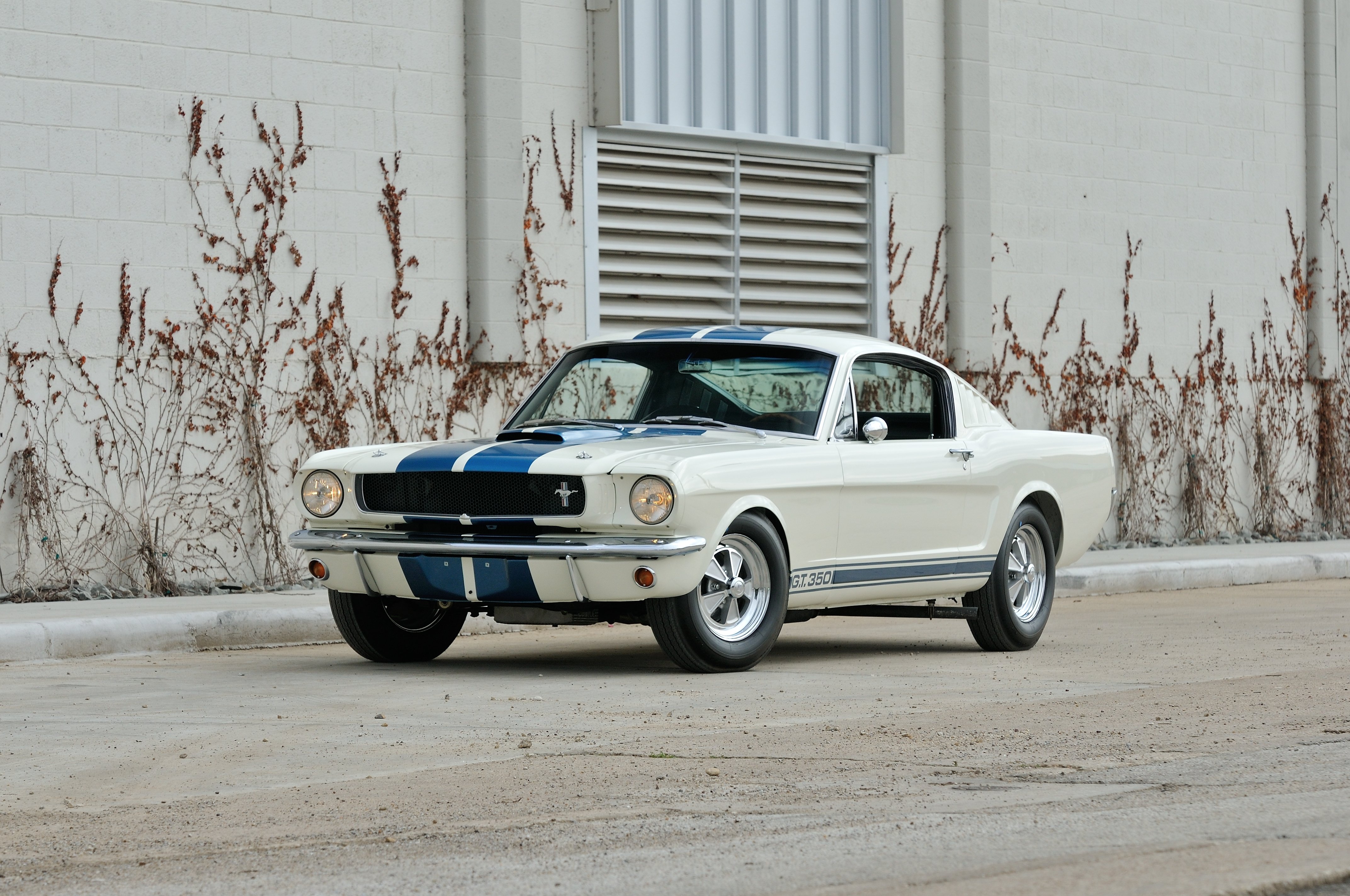 Mustang gt 350 Shelby old