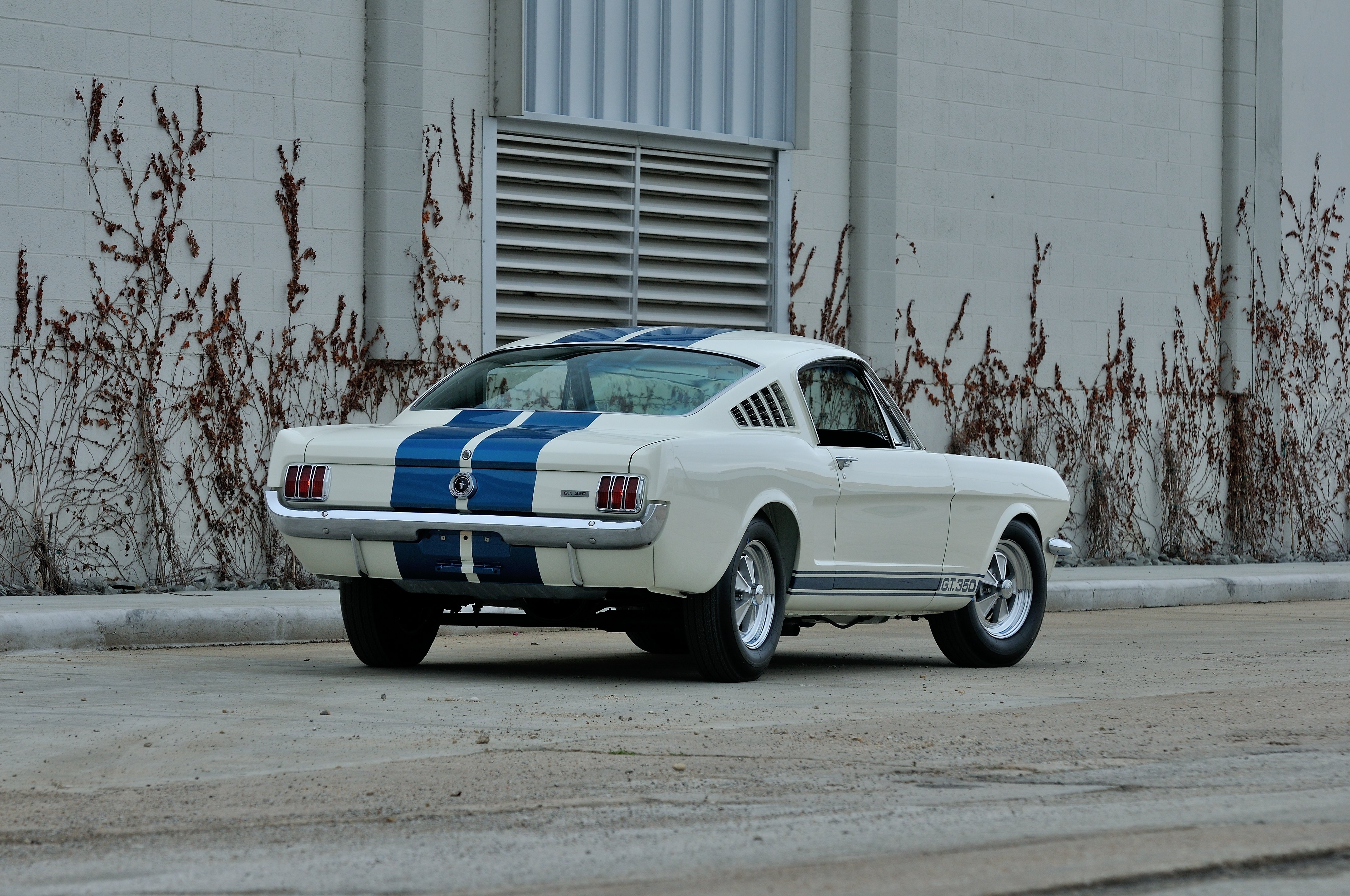 1965, Ford, Mustasng, Shelby, Gt350, Fastback, Muscle, Classic, Old, Usa, 4288x2848 03 Wallpaper