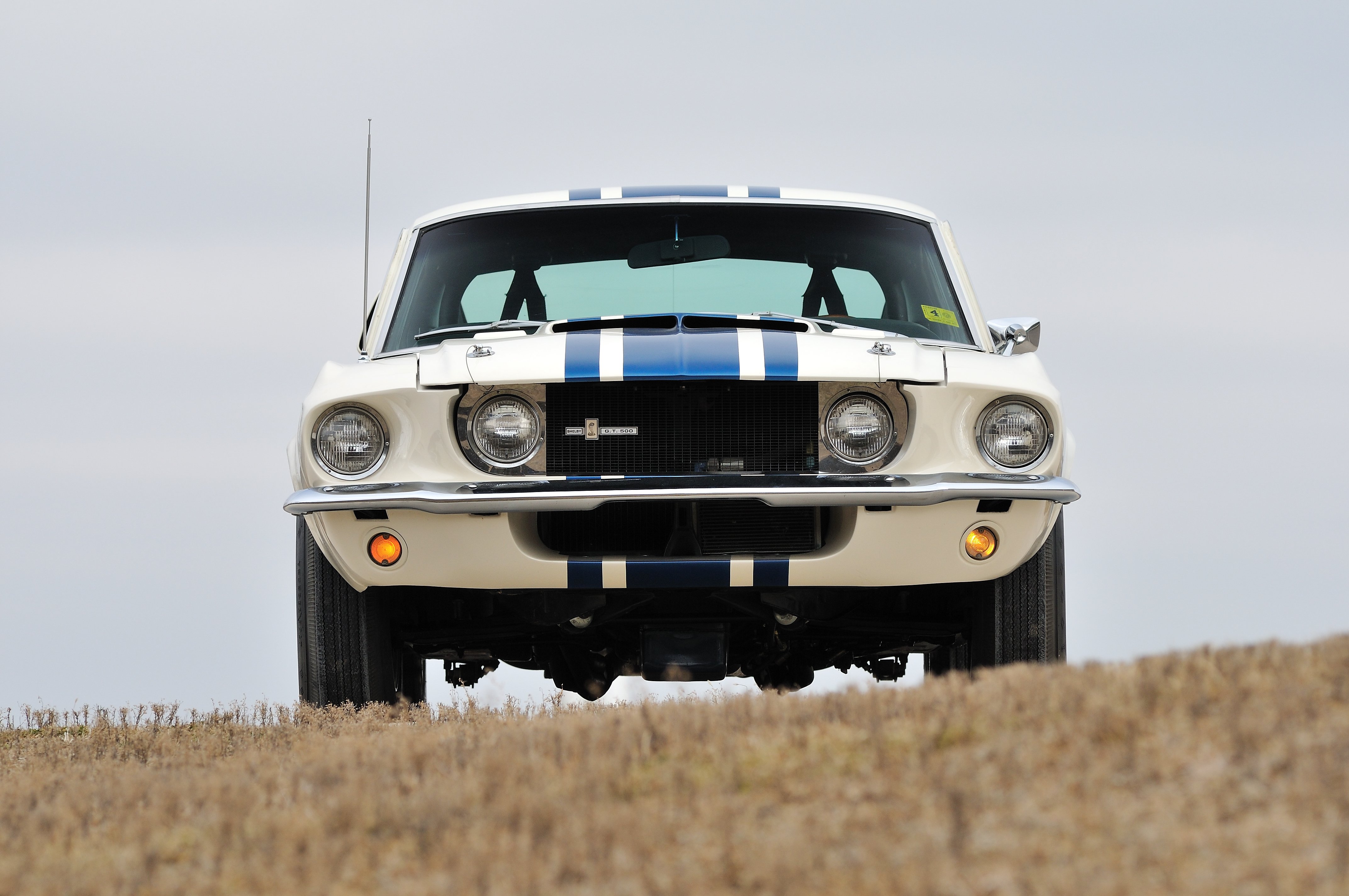 1967, Ford, Mustang, Shelby, Gt500, Super, Snake, Muscle, Classic, Old, Usa, 4288x2848 04 Wallpaper