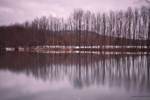 landscapes, Nature, Winter, Trees, Lakes, Vertical, Reflections