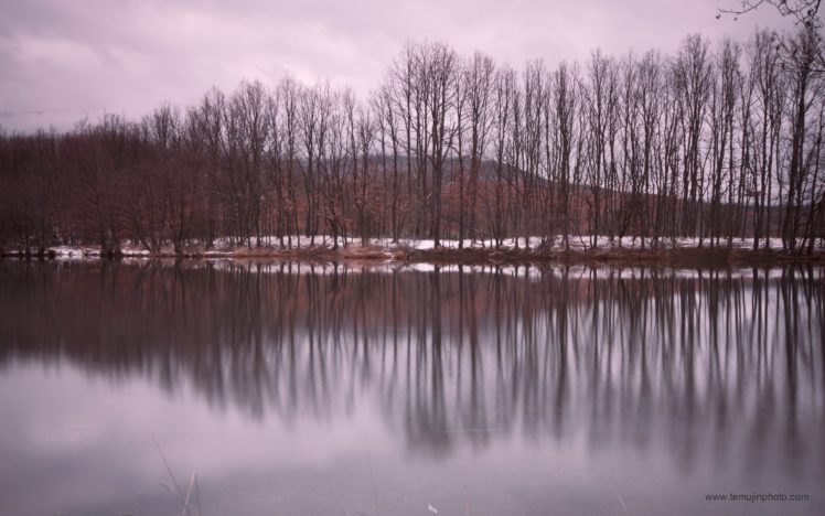 landscapes, Nature, Winter, Trees, Lakes, Vertical, Reflections HD Wallpaper Desktop Background
