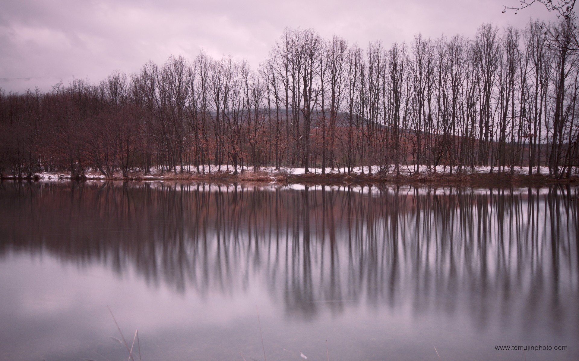 landscapes, Nature, Winter, Trees, Lakes, Vertical, Reflections Wallpaper