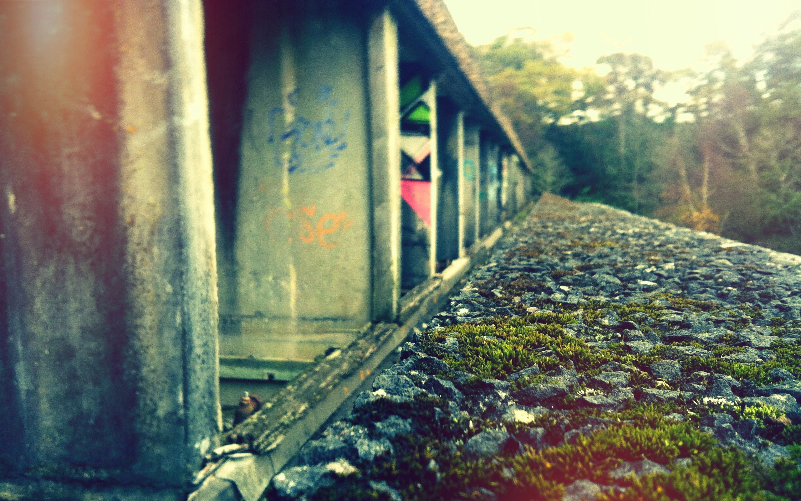 grass, Rocks, Graffiti, Railway Wallpaper