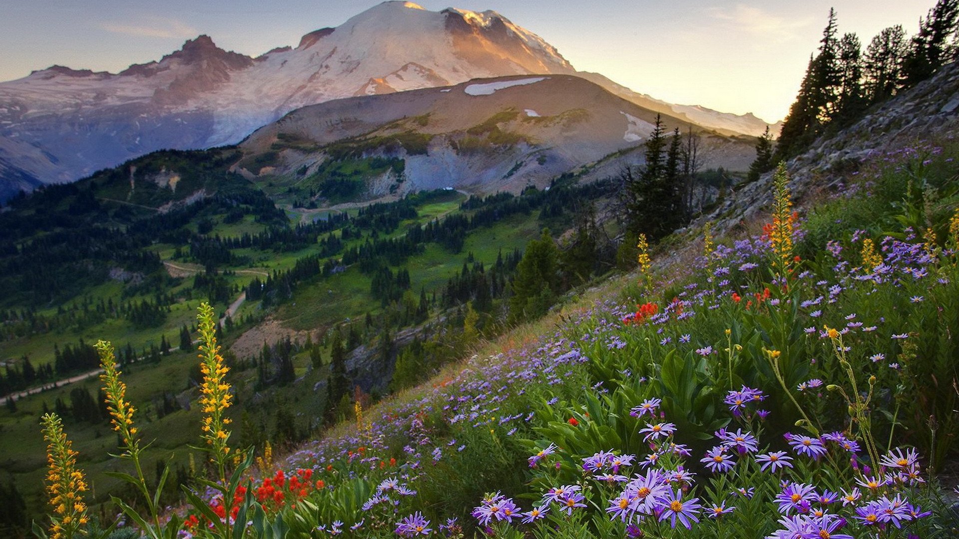 mountainside, Flowers Wallpaper