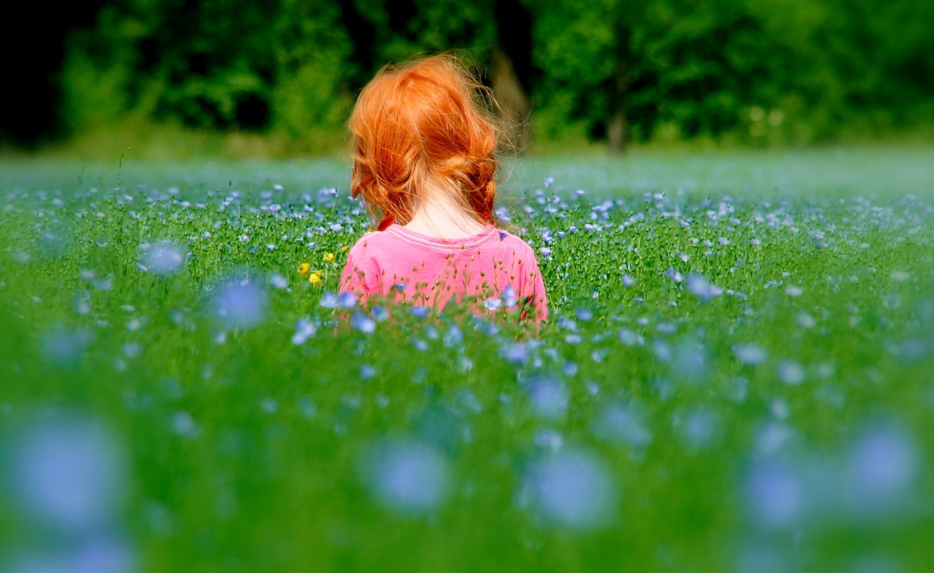baby, Beautiful, Bed, Childhood, Children, Flowers, Kids, Life, Little, Girls, Spring, Grass, Plants, Landscapes, Nature, Earth, Spring Wallpaper