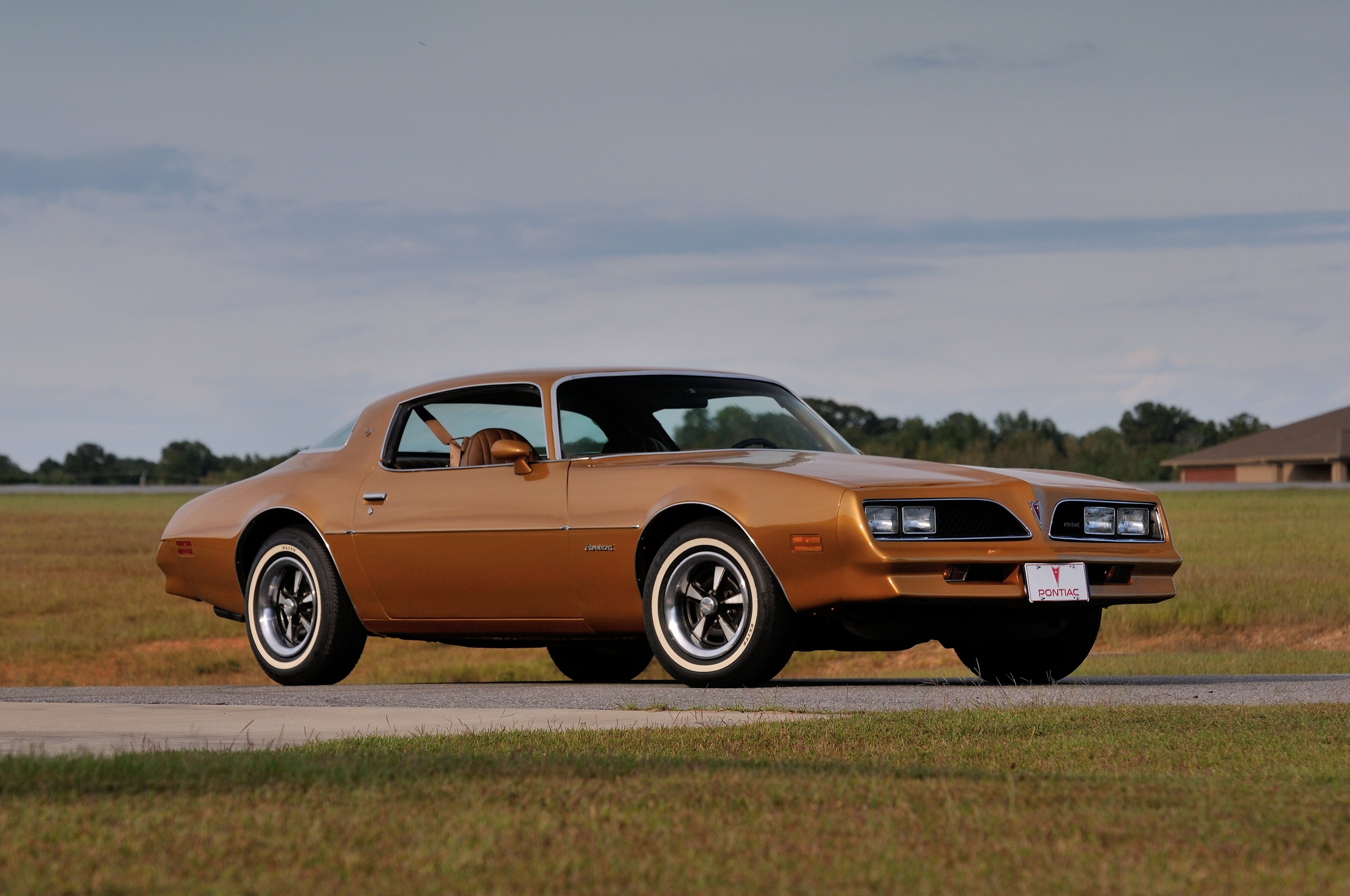 1978, Pontiac, Firebird, Muscle, Classic, Old, Usa, 4200x2790 05 Wallpaper