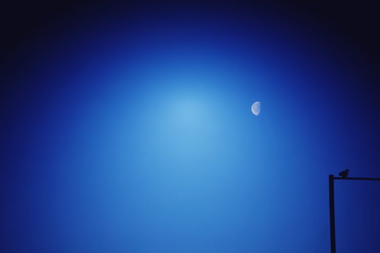 sky, Blue, Moon, Bird, Landscape, Nature, Earth HD Wallpaper Desktop Background