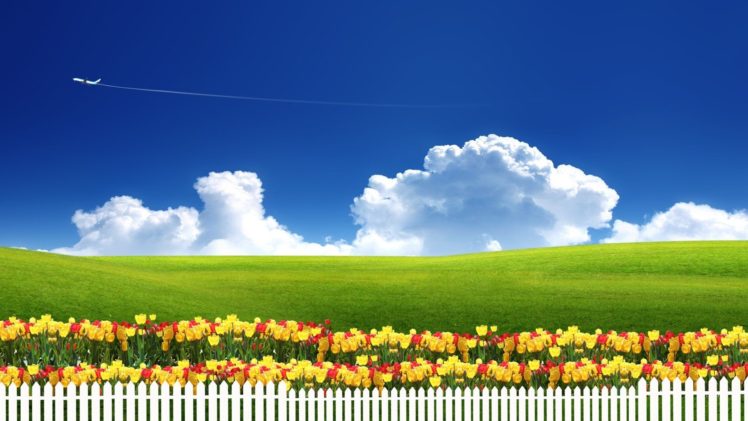 flowers, Fields, Sky HD Wallpaper Desktop Background
