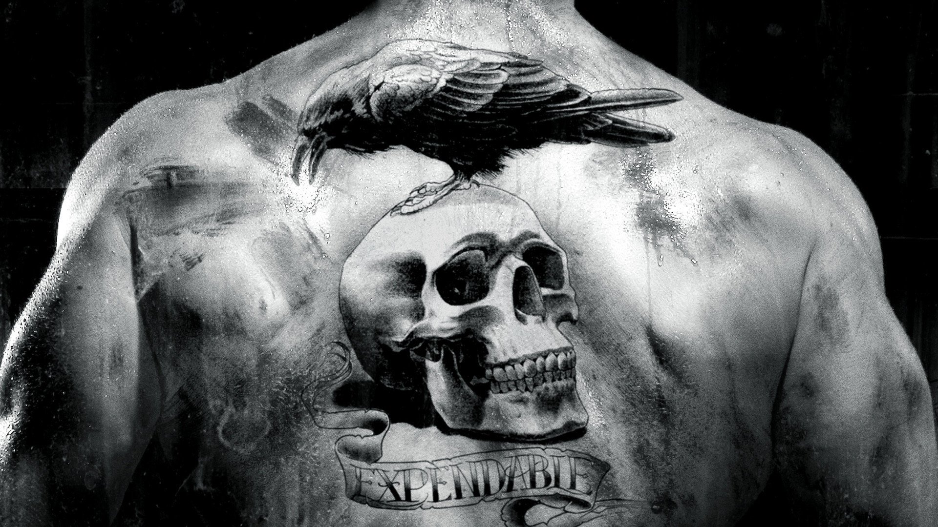 expendable, Tattoo Wallpaper