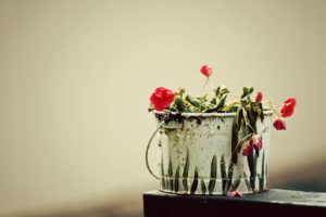 pail, With, Flowers