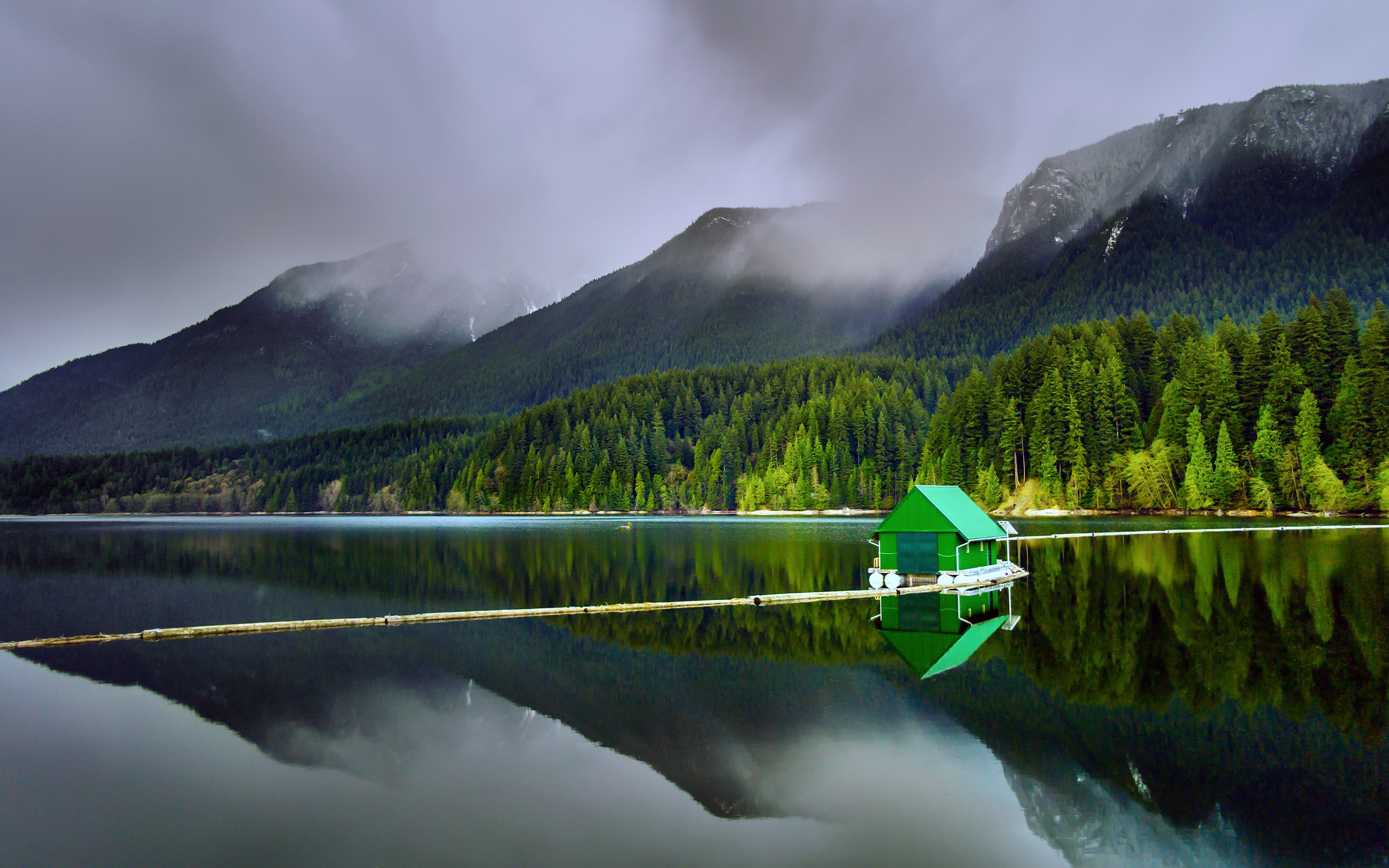 capilano, Lakes, North, Vancouver, Nature, Forest, Jungle, House