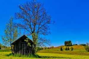 countryside, Trees, Spring, Sunny, Sky, Blue, House, Huts, Fields, Hills, Green, Grass, Landscapes, Nature, Earth