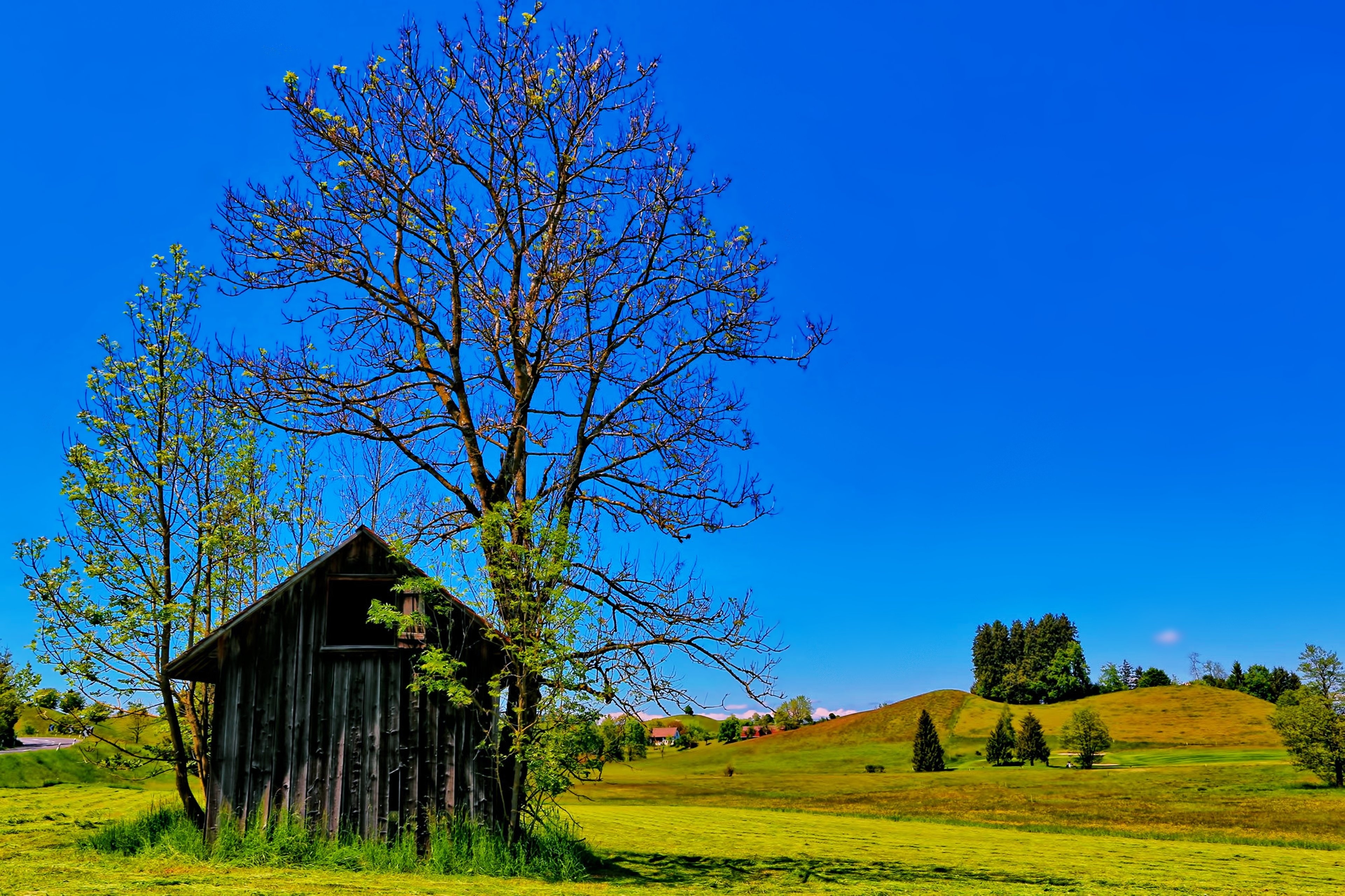 countryside, Trees, Spring, Sunny, Sky, Blue, House, Huts, Fields, Hills, Green, Grass, Landscapes, Nature, Earth Wallpaper