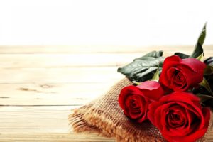 roses, Flowers, Red, Love, Emotions, Girls, Wife, 4u, Spring