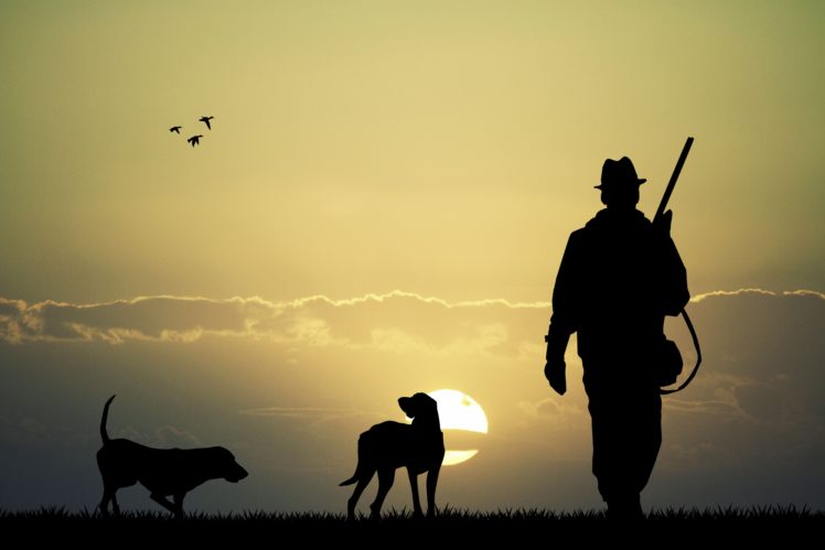 hunter, Dogs, Sunset, Sky, Clouds, Nature, Landscapes, Hunting, Gun, Shoot, Birds HD Wallpaper Desktop Background