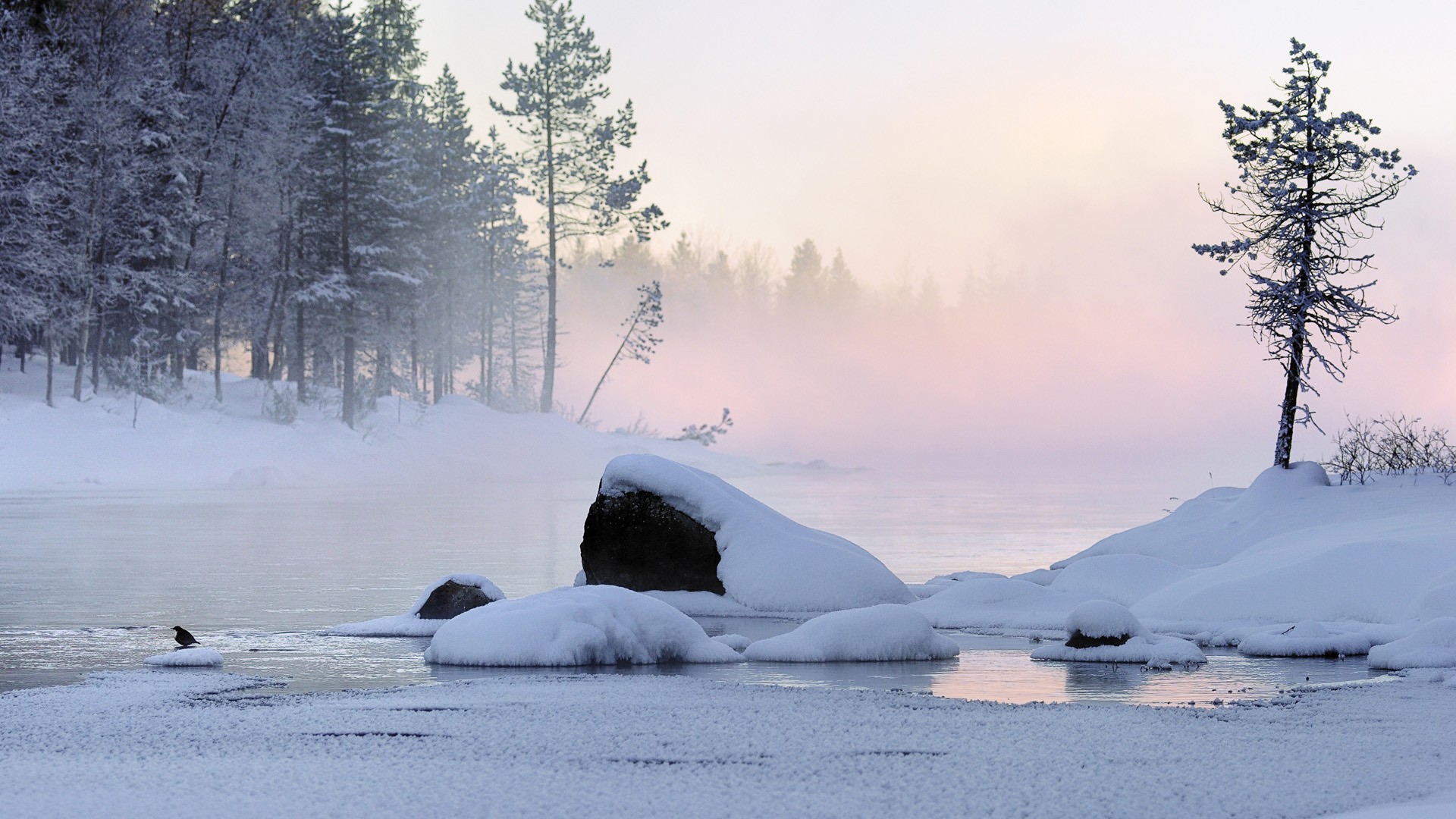 nature Wallpaper