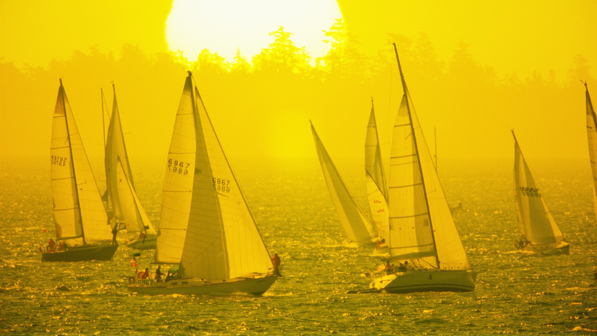 sunrise, Vancouver, Islands, British, Columbia, Racing Wallpaper