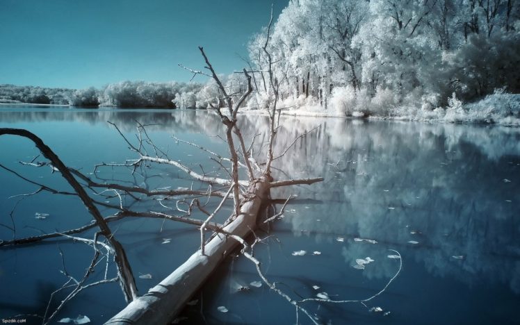 nature, Snow, Snow, Landscapes HD Wallpaper Desktop Background
