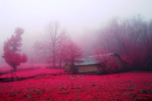 nature, House, Huts, Trees, Earth, Farms, Countryside, Autumn, Red, Pink, Rose, Beauty, Landscapes