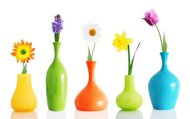 flowers, Roses, Spring, Vases, Scenery, Decoration, Colors, House HD Wallpaper Desktop Background