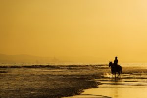 sea, Beaches, Horse, Sky, Yellow, Landscapes, Nature, Earth, Alone, Lonely, Emotions, Horseman, Rider, Thinking