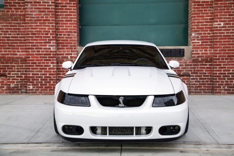 white, 2004, Terminator, Mustang, Cobra, Cars HD Wallpaper Desktop Background