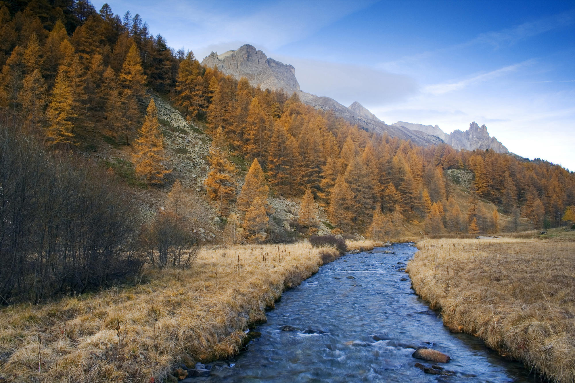 river, Thaw Wallpaper