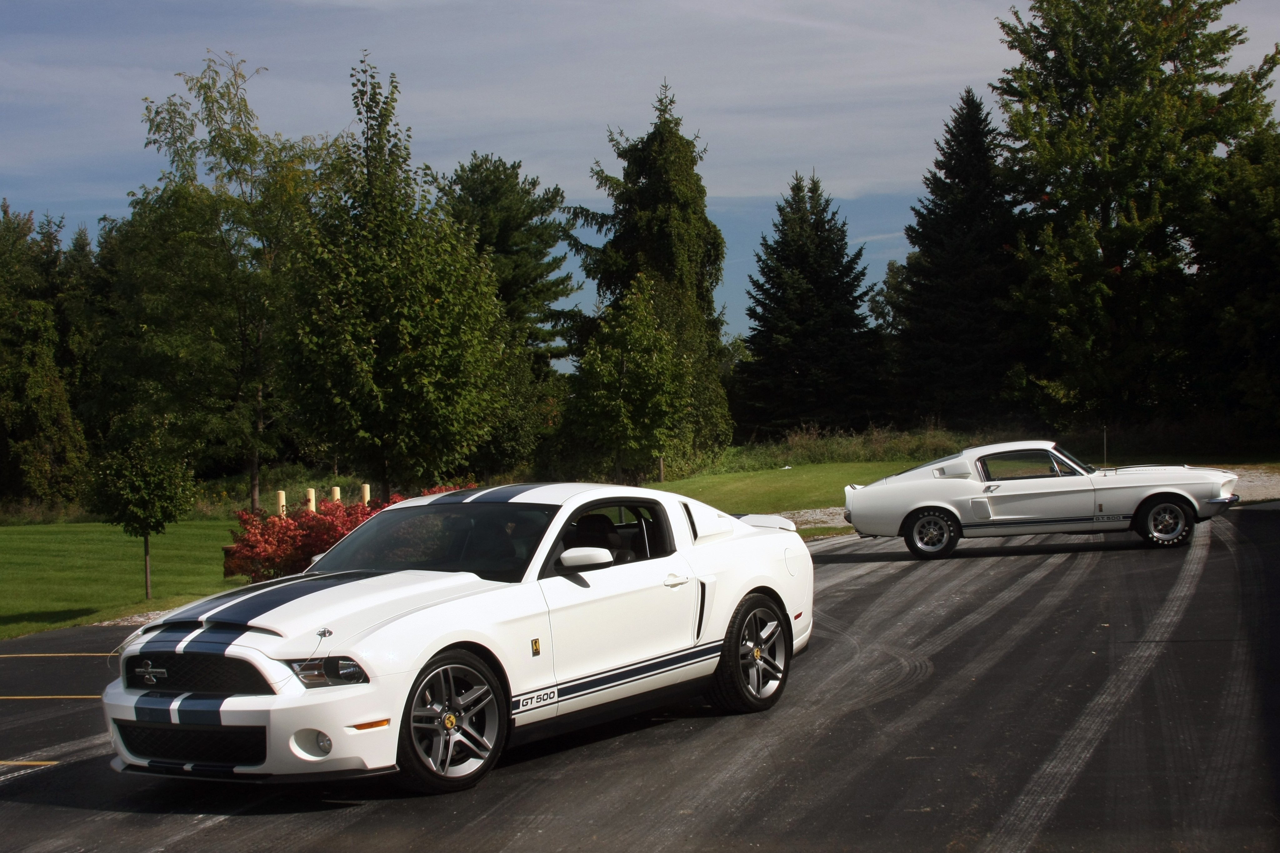 2010, Ford, Mustang, Shelby, Gt500, Patriot, Muscle, Super, Car, White, Usa, 4096x2730 02 Wallpaper