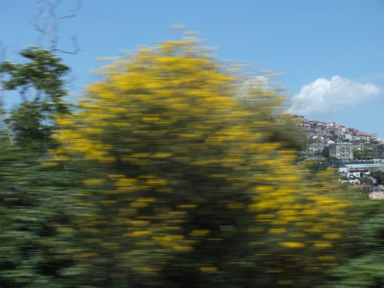 speed, Nature, Trees, Sky, Village HD Wallpaper Desktop Background