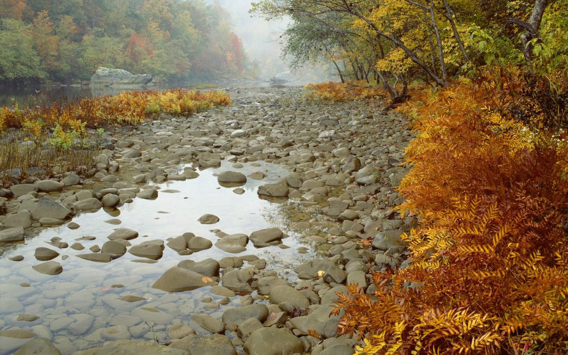 river, Stones Wallpaper