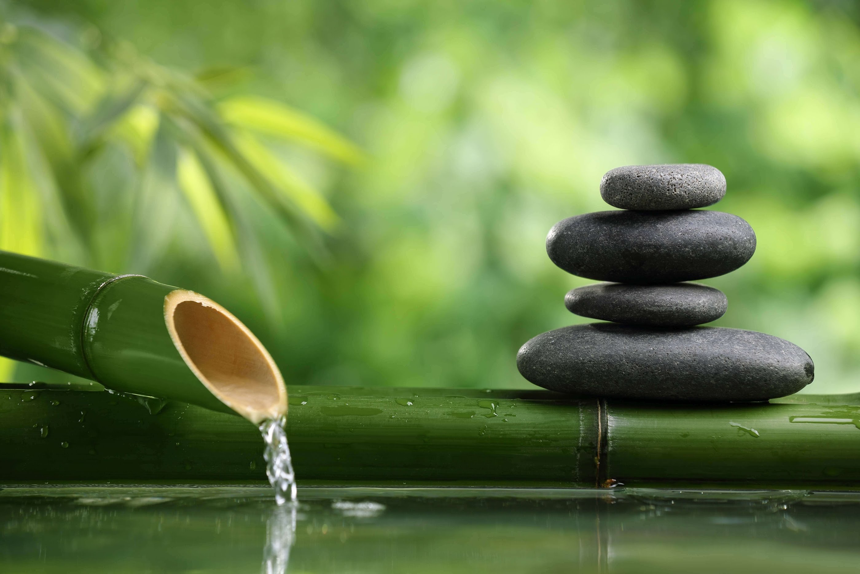 zen, Mood, Bokeh, Garden, Buddhism, Religion Wallpaper