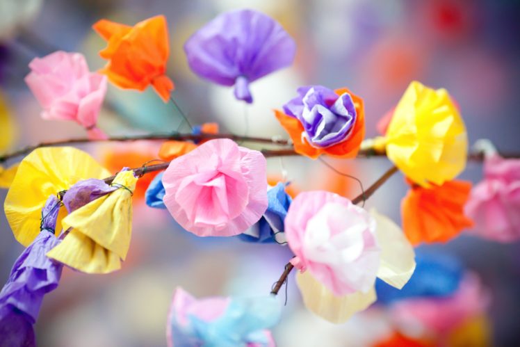flower, Water, Beautiful, Making, Flower, Ornament HD Wallpaper Desktop Background