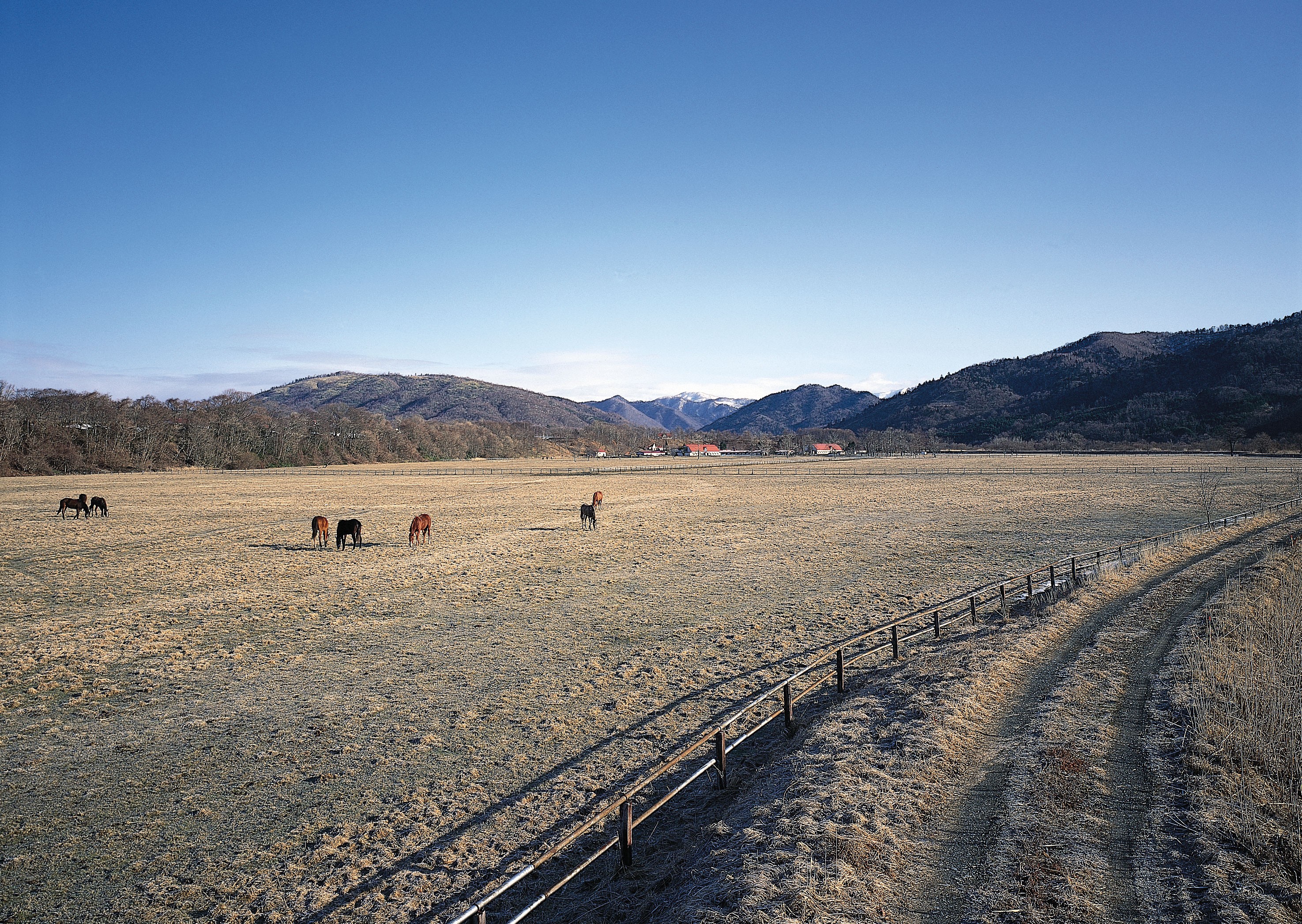 Policy field. Road features.