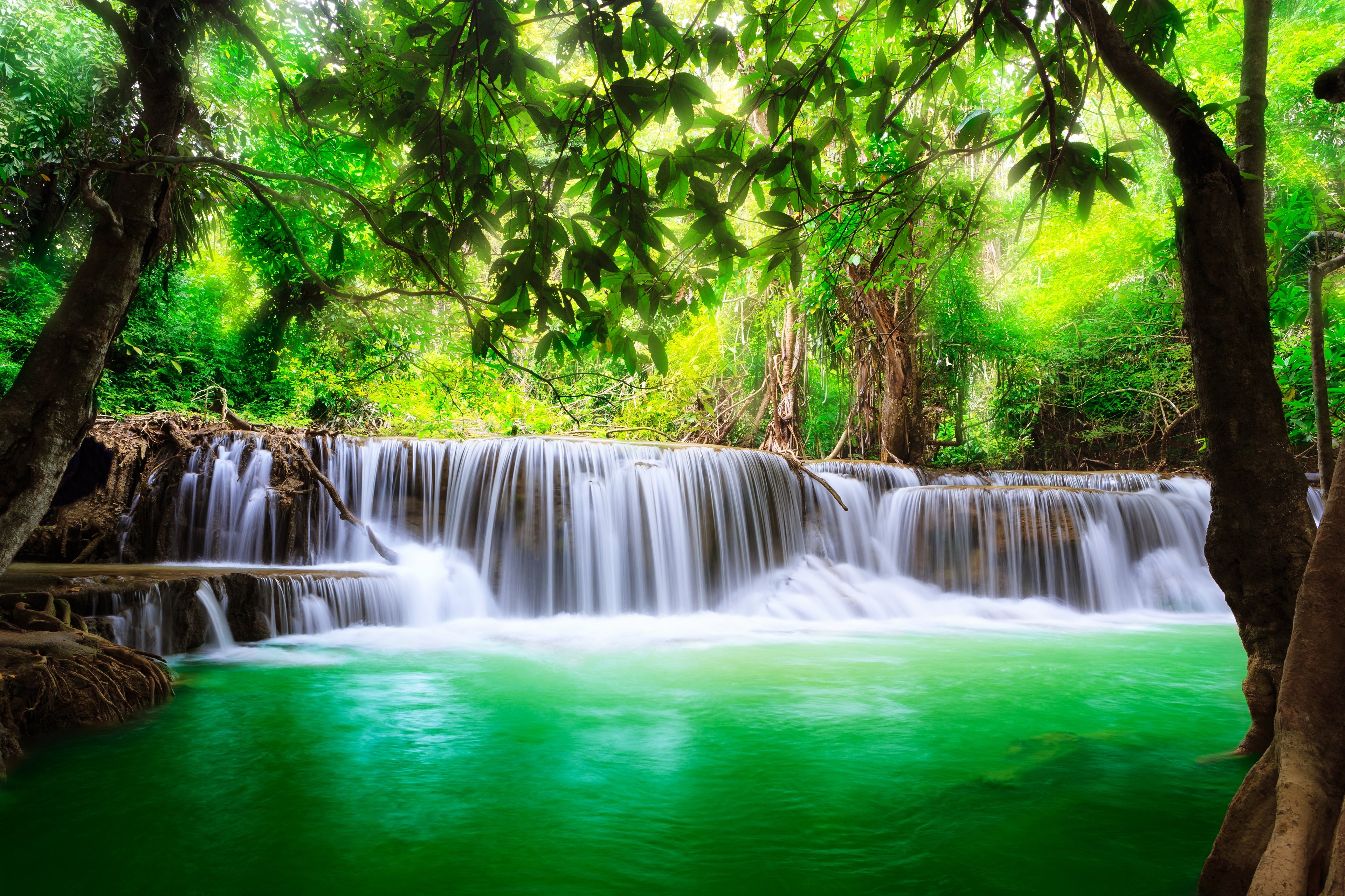waterfall, Lakes, Nature, Trees, Jungle, Water, Spring, Landscapes, Earth, Beauty Wallpaper