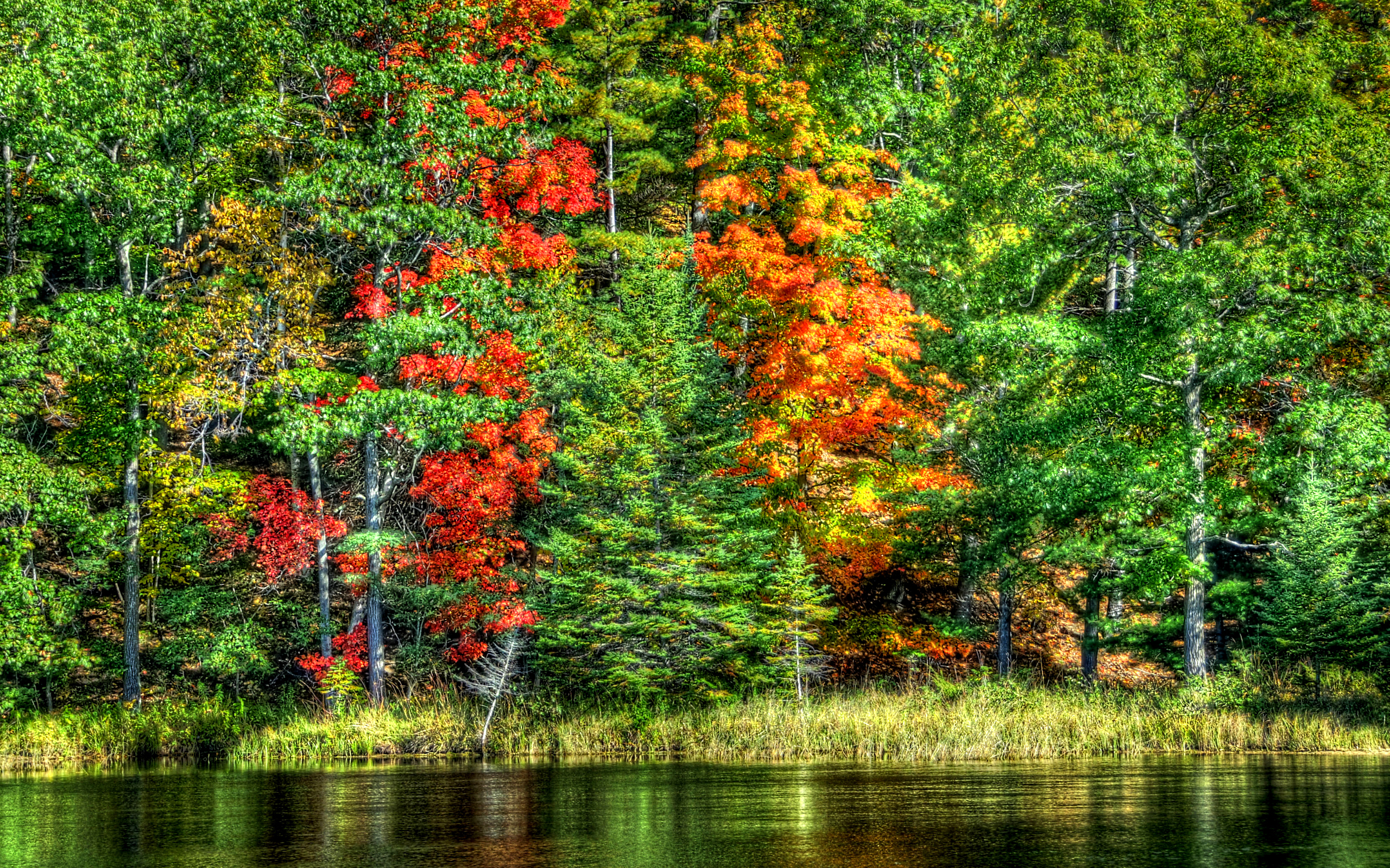 nature Wallpaper