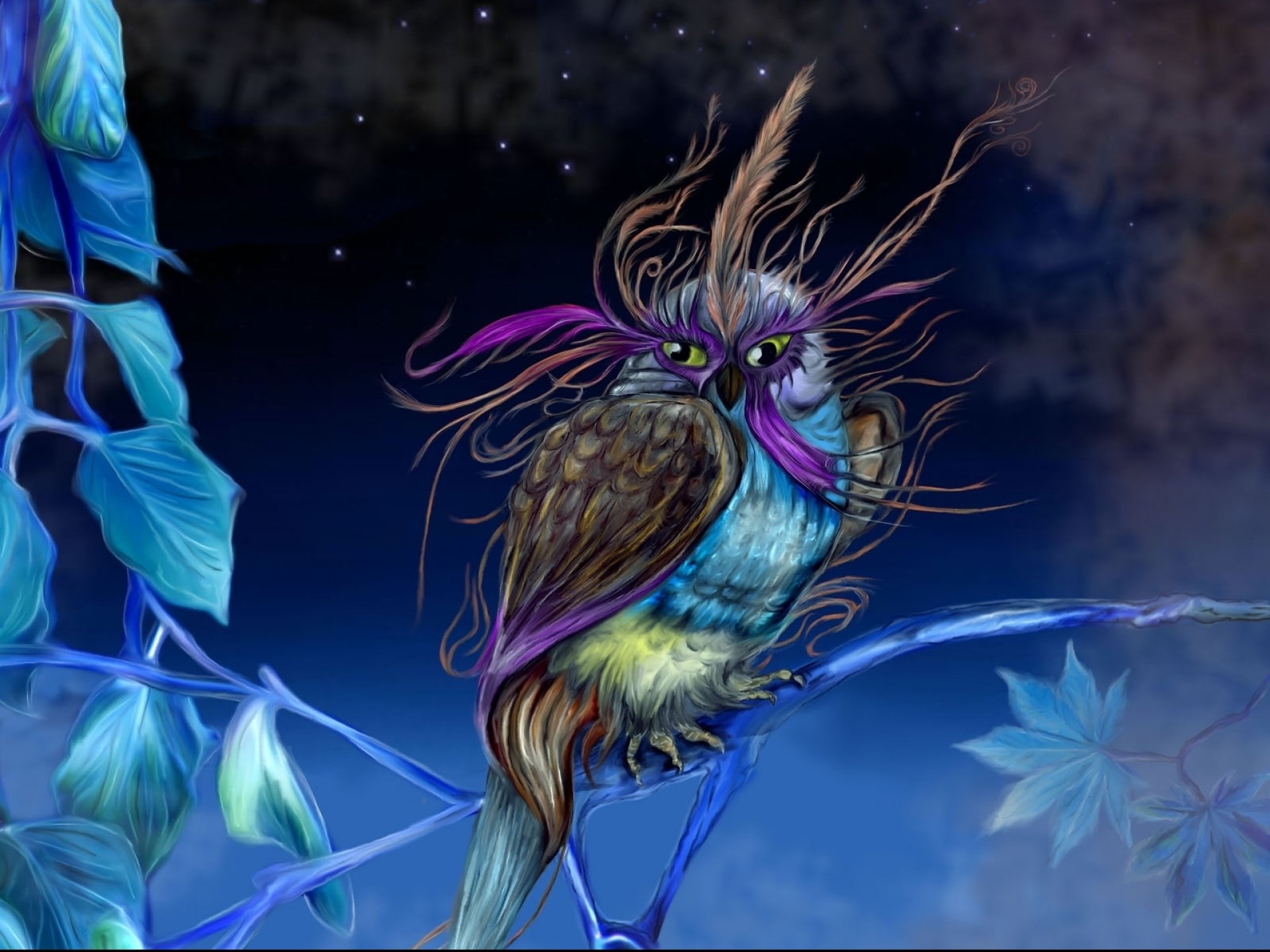 Fantasy Bird Art Artistic Creature Owl Wallpapers Hd Desktop And