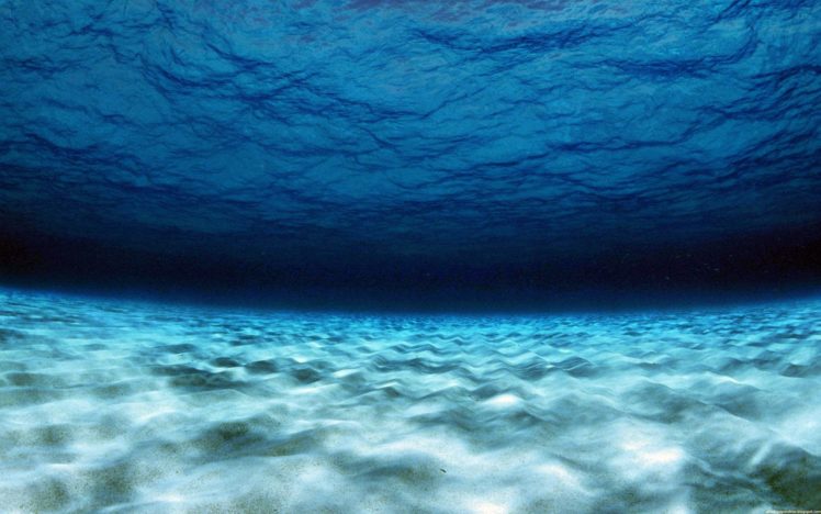 nature, Underwater, Sea, Water HD Wallpaper Desktop Background