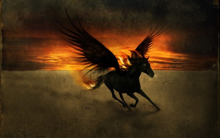 fantasy, Pegasus, Horse, Animal, Art, Artistic, Artwork HD Wallpaper Desktop Background