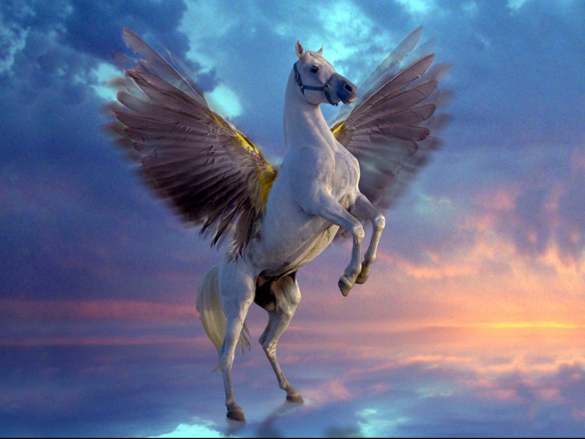 fantasy, Pegasus, Horse, Animal, Art, Artistic, Artwork Wallpaper