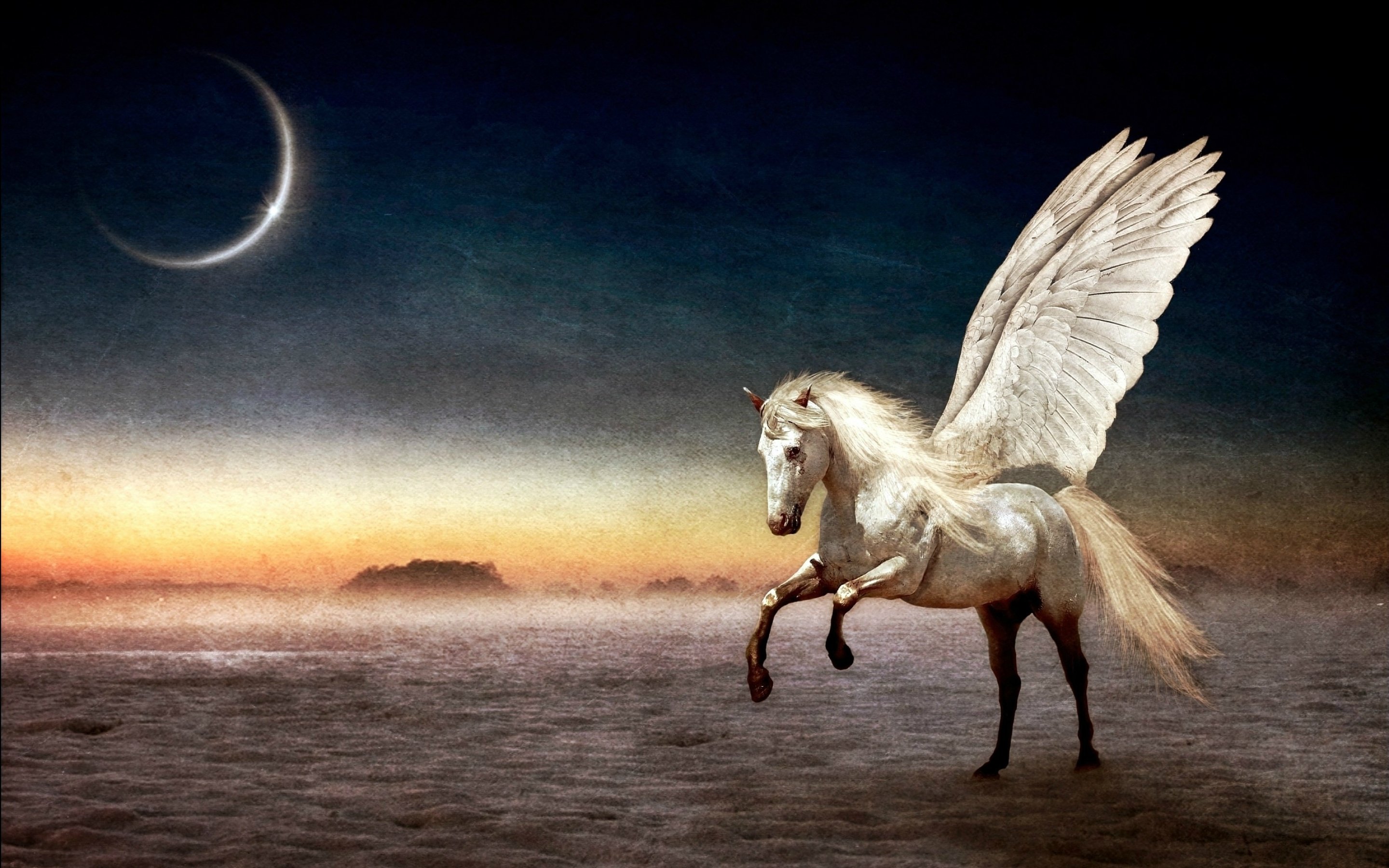 fantasy, Pegasus, Horse, Animal, Art, Artistic, Artwork Wallpaper