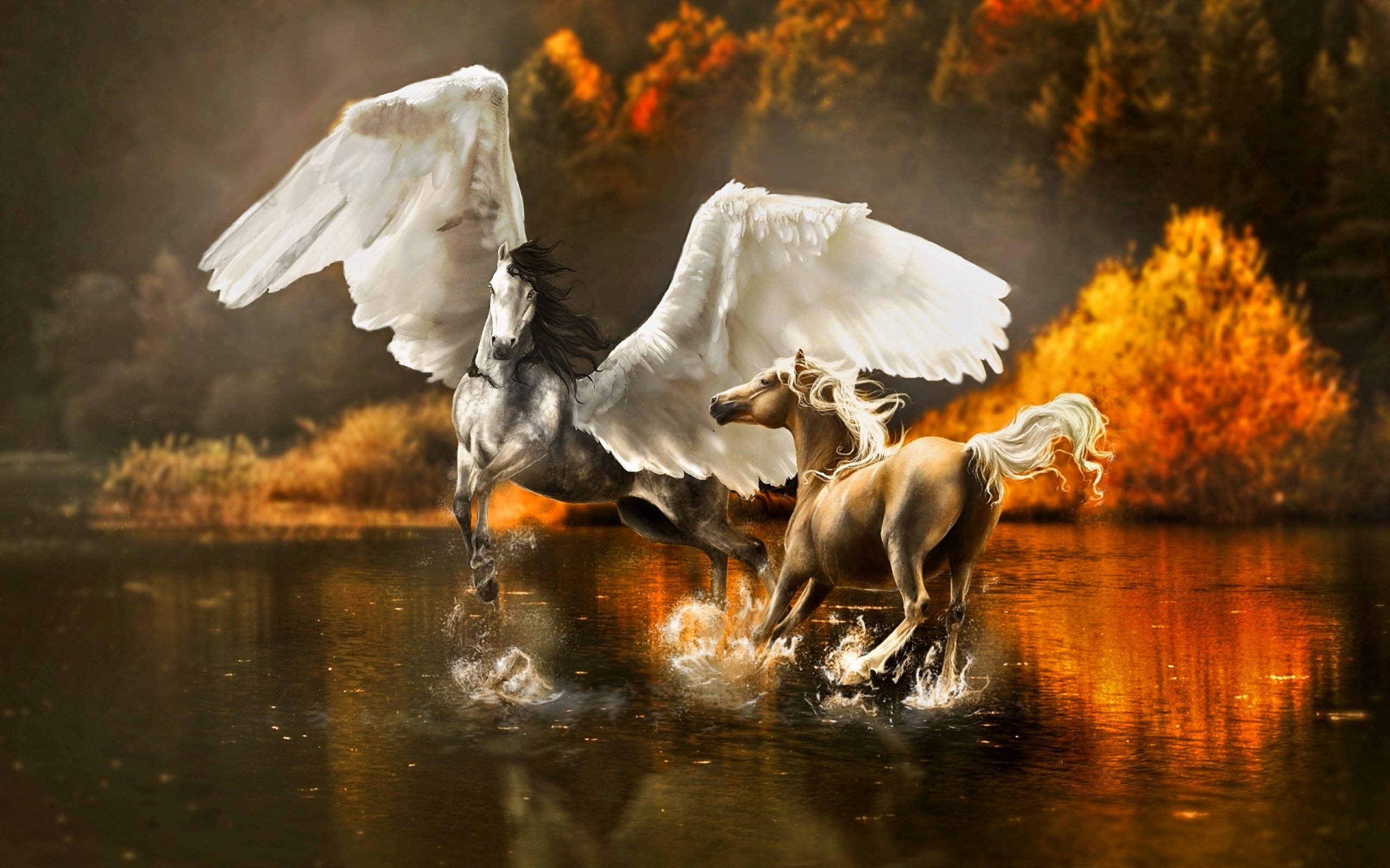 fantasy, Pegasus, Horse, Animal, Art, Artistic, Artwork Wallpapers HD