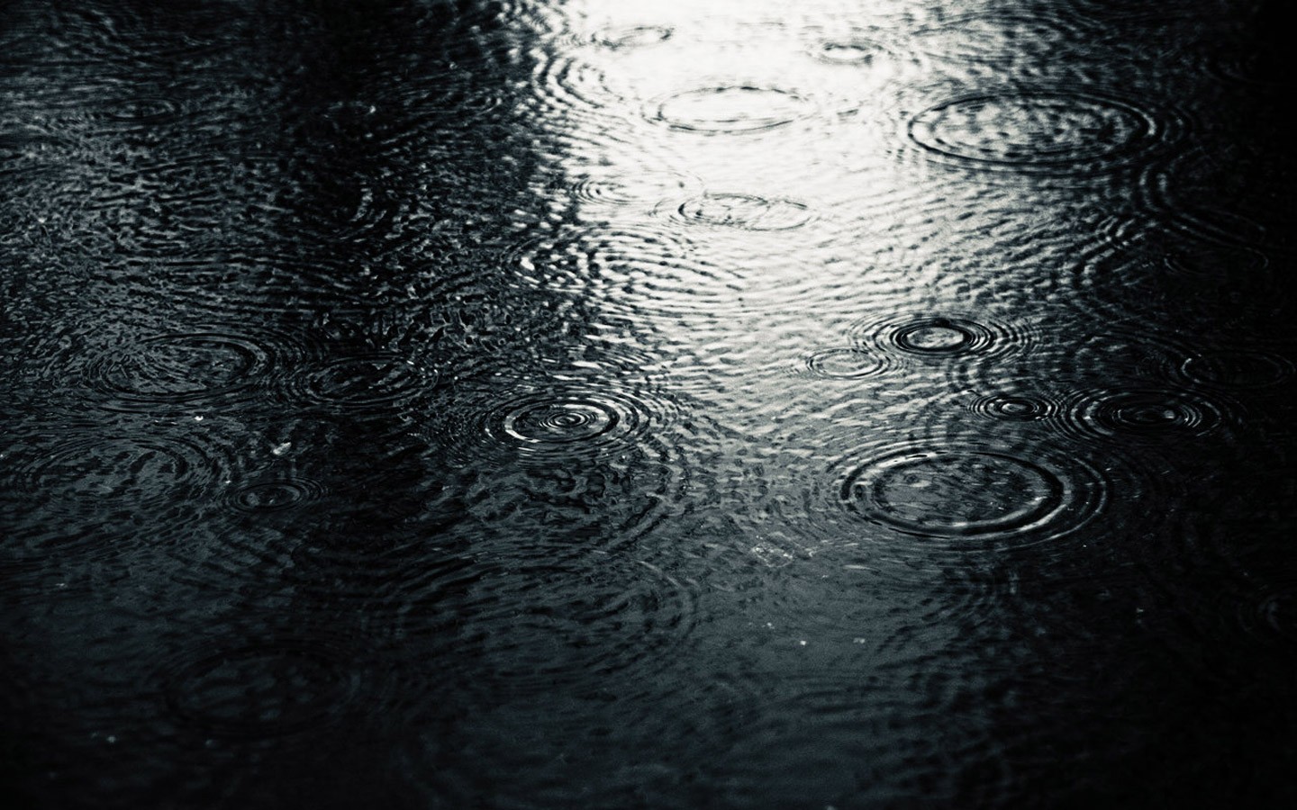 rain Wallpaper