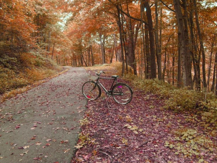bicycles, Path HD Wallpaper Desktop Background