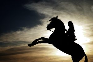 animal, Horse, Beautiful, Girl, Sunset