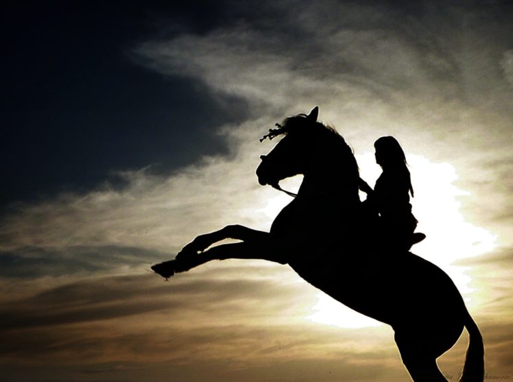 animal, Horse, Beautiful, Girl, Sunset HD Wallpaper Desktop Background